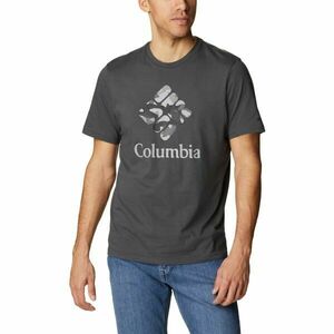 Columbia M RAPID RIDGE GRAPHIC TEE Pánské triko, tmavě šedá, velikost obraz