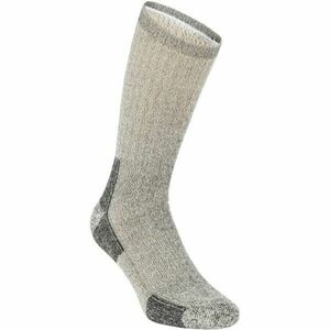 NATURA VIDA REGULAR GRIS Pánské ponožky, šedá, veľkosť 39-42 obraz