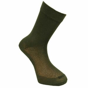 Bobr letní ponožky 1 pár zelené - 39–41 obraz