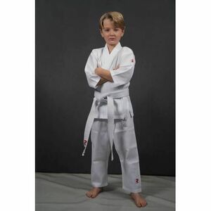Budo Fightart karate kimono, dětské bílé - 120 obraz