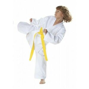DAX Beginer karate kimono, dětské - 100 obraz