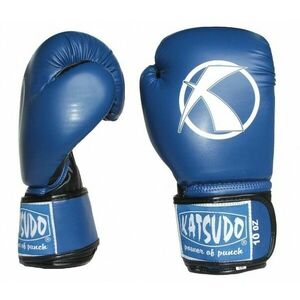 Katsudo box rukavice Punch, modré - 8 OZ obraz