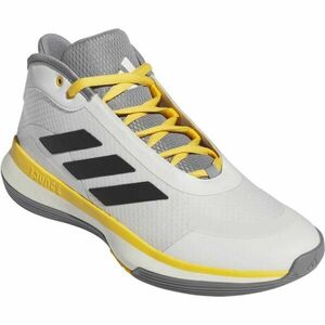 adidas BOUNCE LEGENDS Pánské basketbalové boty, bílá, velikost 41 1/3 obraz