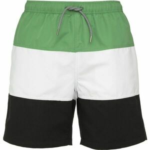 Russell Athletic SHORTS M Pánské šortky, zelená, velikost obraz
