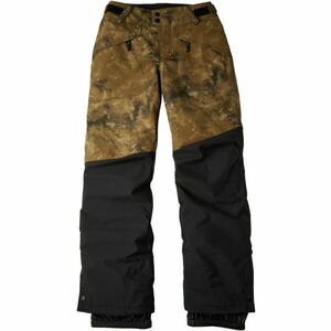 O'Neill Pánské lyžařské/snowboardové kalhoty Pánské lyžařské/snowboardové kalhoty, černá, velikost S obraz