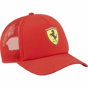 Puma Ferrari obraz