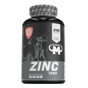 Zinc Tabs - Mammut Nutrition 240 tbl. obraz