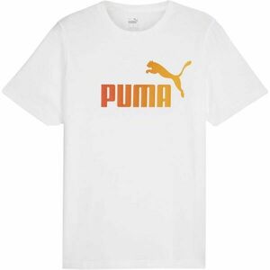 Puma Pánské tričko Pánské tričko, bílá, velikost S obraz