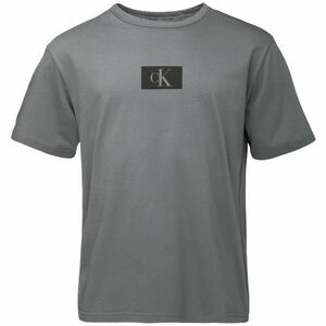 Calvin Klein S/S CREW NECK Pánské tričko, šedá, velikost obraz