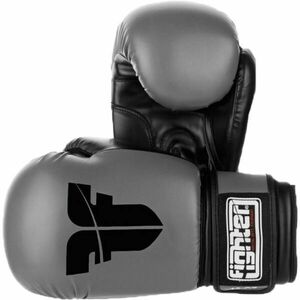 Fighter BASIC Boxerské rukavice, šedá, velikost obraz