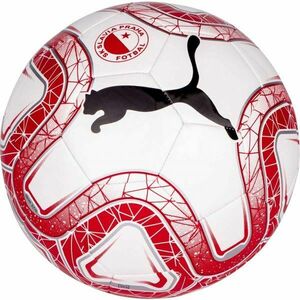 Puma SKS MNLL Mini fotbalový míč, bílá, velikost obraz
