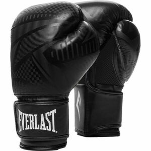 Everlast SPARK TRAINING GLOVES Boxerské rukavice, černá, velikost obraz