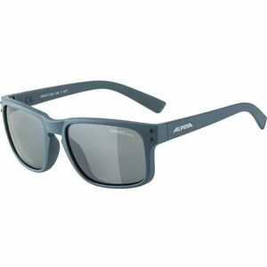 Alpina Sports KOSMIC Sluneční brýle, tmavě šedá, velikost obraz