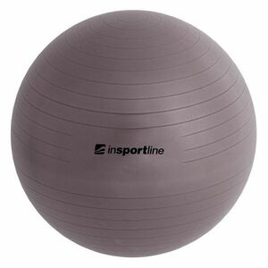 Gymnastický míč inSPORTline Top Ball 65 cm tmavě šedá obraz