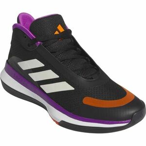 adidas BOUNCE LEGENDS Pánské basketbalové boty, černá, velikost 46 2/3 obraz