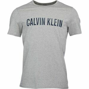 Calvin Klein Pánské tričko Pánské tričko, šedá, velikost S obraz