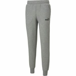 Puma ESSENTIALS LOGO PANTS Pánské tepláky, šedá, velikost obraz