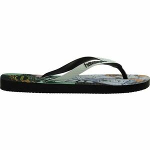 HAVAIANAS DISNEY STYLISH Dámské žabky, mix, velikost 43/44 obraz