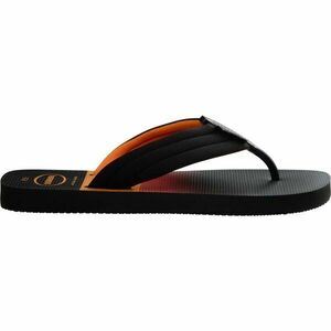 HAVAIANAS URBAN BASIC Pánské žabky, černá, velikost 45/46 obraz