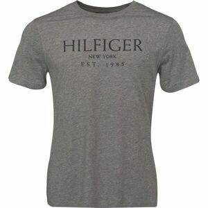 Tommy Hilfiger BIG HILFIGER TEE Pánské triko, tmavě šedá, velikost obraz