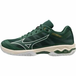 Mizuno WAVE EXCEED LIGHT CC Pánská běžecká obuv, zelená, velikost 44.5 obraz