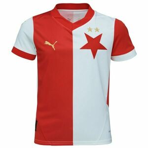 Puma Pánský dres Pánský dres, bílá, velikost S obraz