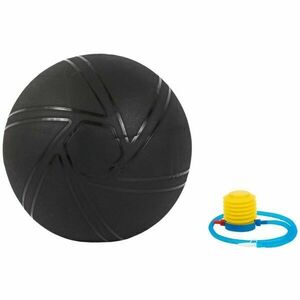 SHARP SHAPE GYM BALL PRO 55 CM Gymnastický míč, černá, velikost obraz