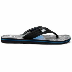 Quiksilver MOLOKAI LAYBACK II Pánské žabky, černá, velikost 41 obraz