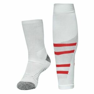 Puma TEAM SKS GRAPHIC SOCKS PROMO Fotbalové štulpny, bílá, velikost obraz