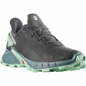 Salomon ALPHACROSS 4 GTX W Dámská trailová bota, šedá, velikost 38 2/3 obraz