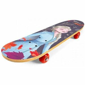 Disney LEDOVÉ KRALOVSTVI - Skateboard obraz