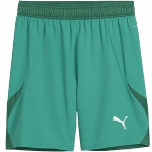 Puma TEAMFINAL SHORTS Pánské fotbalové šortky, zelená, velikost obraz