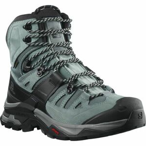 Salomon QUEST 4 GTX W Dámská treková obuv, modrá, velikost 38 2/3 obraz