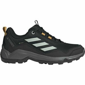 adidas TERREX EASTRAIL GTX Pánská treková obuv, černá, velikost 39 1/3 obraz