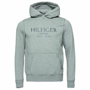 Tommy Hilfiger BIG HILFIGER HOODY Pánská mikina, šedá, velikost obraz