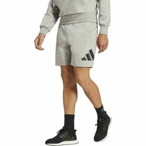 adidas BIG LOGO SHORTS Pánské kraťasy, šedá, velikost XXL obraz