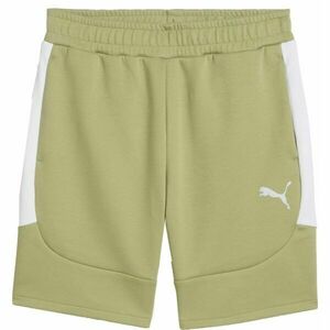 Puma TEAMEVOSTRIPE SHORTS Pánské šortky, khaki, velikost obraz