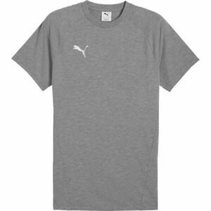 Puma TEAMEVOSTRIPE TEE Pánské triko, šedá, velikost obraz