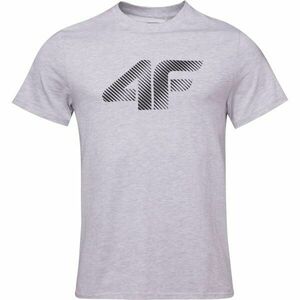 4F TSHIRT Pánské tričko, šedá, velikost obraz