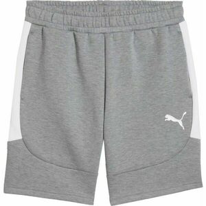 Puma TEAMEVOSTRIPE SHORTS Pánské šortky, šedá, velikost obraz
