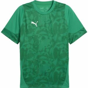 Puma TEAMCUP TRAINING JERSEY TEE Pánský dres, zelená, velikost obraz