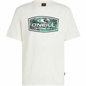 O'Neill GRAPHIC Pánské tričko, bílá, velikost obraz