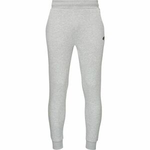 4F TROUSERS BASIC Pánské tepláky, šedá, velikost obraz