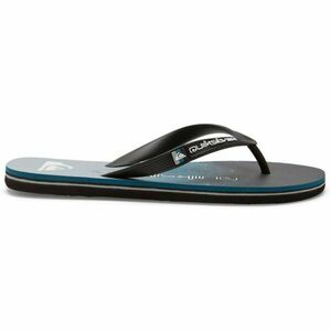 Quiksilver MOLOKAI ART II Pánské žabky, černá, velikost 41 obraz
