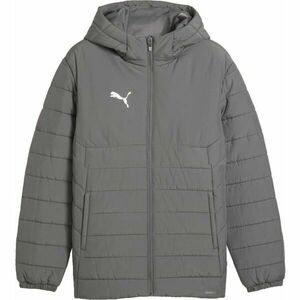 Puma TEAMADDITIONS HOODED PADDED JACKET Pánská bunda, šedá, velikost obraz