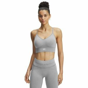 Under Armour VANISH SEAMLESS WASHED LOW Dámská podprsenka, šedá, velikost obraz