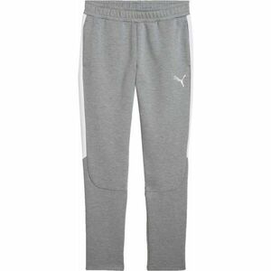 Puma TEAMEVOSTRIPE PANTS Pánské tepláky, šedá, velikost obraz