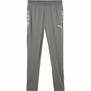 Puma TEAMCUP TRAINING PANTS Pánské tréninkové kalhoty, šedá, velikost obraz