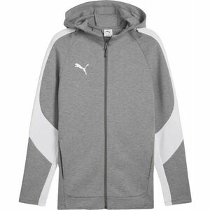 Puma TEAMEVOSTRIPE HOODED JACKET Pánská bunda, šedá, velikost obraz
