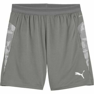 Puma TEAMCUP TRAINING SHORTS Pánské šortky, šedá, velikost obraz